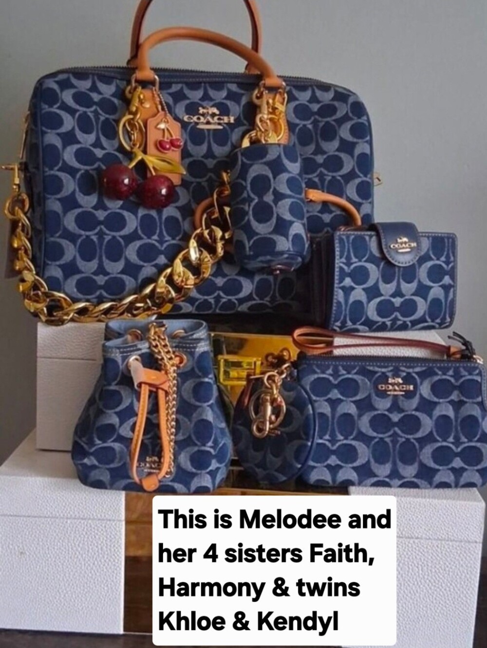 NOT FOR SALE Coach Bags they are so 🥰 cute/Not for Sale.